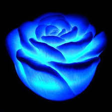 LEDes színváltó élethű rózsa dekoráció